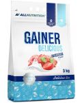 Gainer Delicious, strawberry ice cream, 3000 g, AllNutrition - 1t