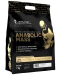 Black Line Anabolic Mass, шоколад, 7 kg, Kevin Levrone - 1t