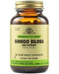 Ginkgo Biloba Leaf Extract, 60 растителни капсули, Solgar - 1t