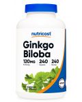 Ginkgo Biloba, 240 капсули, Nutricost - 1t