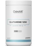 Glutamine 1250, 1250 mg, 300 капсули, OstroVit - 1t