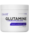 Glutamine Powder, неовкусен, 300 g, OstroVit - 1t