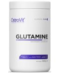 Glutamine Powder, неовкусен, 500 g, OstroVit - 1t