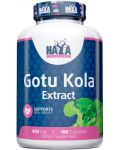 Gotu Kola Extract, 450 mg, 100 капсули, Haya Labs - 1t