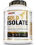 Gold Isolate Whey Protein, ананас и кокос, 2.28 kg, Amix - 1t