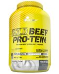 Gold Beef Pro-Tein, боровинка, 1800 g, Olimp - 1t