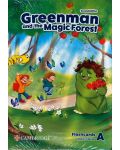 Greenman and the Magic Forest Level A Flashcards 2nd Edition / Английски език - ниво A: Флашкарти - 1t