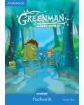 Greenman and the Magic Forest Starter Flashcards (Pack of 48) - 1t