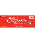 Greenman and the Magic Forest B Wordcards (Pack of 48) - 1t