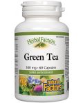 Herbal Factors Green Tea, 300 mg, 60 капсули, Natural Factors - 1t