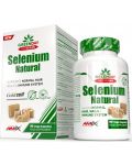 GreenDay Selenium Natural, 110 mсg, 90 капсули, Amix - 1t