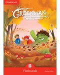 Greenman and the Magic Forest B Flashcards (Pack of 48) - 1t