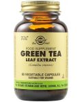 Green Tea Leaf Extract, 60 растителни капсули, Solgar - 1t