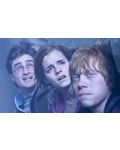 Хари Потър и Даровете на смъртта: Част 2 3D (Blu-Ray) - 4t