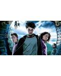 Хари Потър и Затворникът от Азкабан - специално издание в 2 диска (DVD) - 13t