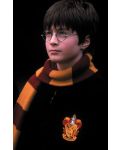 Хари Потър и Философският камък - Специално издание в 2 диска (DVD) - 10t
