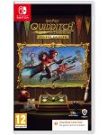 Harry Potter: Quidditch Champions - Deluxe Edition - Код в кутия (Nintendo Switch) - 1t