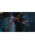 Хари Потър и Орденът на Феникса  - Специално издание в 2 диска (DVD) - 13t