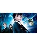 Хари Потър и Философският камък - Специално издание в 2 диска (DVD) - 3t