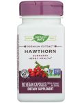 Hawthorn, 90 капсули, Nature’s Way - 1t