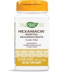 Hexaniacin, 590 mg, 60 капсули, Nature’s Way - 1t
