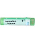 Hepar sulfuris calcareum 5CH, Boiron - 1t