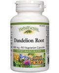 Herbal Factors Dandelion Root, 425 mg, 90 веге капсули, Natural Factors - 1t