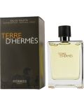 Hermes Terre d'Hermès Тоалетна вода, 100 ml - 2t