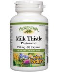 Herbal Factors Milk Thistle Phytosome, 90 капсули, Natural Factors - 1t