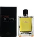 Hermes Terre d'Hermès Парфюм, 200 ml - 2t