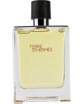 Hermes Terre d'Hermès Тоалетна вода, 100 ml - 1t