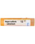 Hepar sulfuris calcareum 15CH, Boiron - 1t