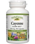 Herbal Factors Cayenne, 470 mg, 90 капсули, Natural Factors - 1t