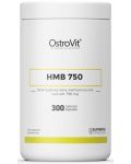 HMB 750, 300 капсули, OstroVit - 1t