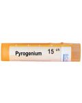 Pyrogenium 15CH, Boiron - 1t