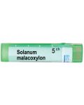 Solanum malacoxylon 5CH, Boiron - 1t