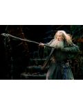 The Hobbit: The Desolation of Smaug (Blu-Ray) - 3t