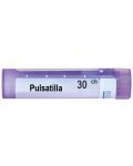 Pulsatilla 30CH, Boiron - 1t