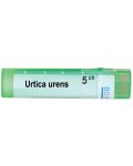 Urtica urens 5CH, Boiron - 1t