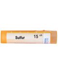 Sulfur 15CH, Boiron - 1t