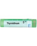 Thyroidinum 5CH, Boiron - 1t