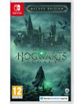 Hogwarts Legacy - Deluxe Edition (Nintendo Switch) - 1t