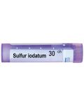 Sulfur iodatum 30CH, Boiron - 1t
