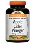 Holista Apple Cider Vinegar, 200 капсули, Natural Factors - 1t