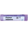 Poumon histaminе 30CH, Boiron - 1t