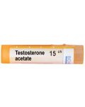 Testosterone acetate 15CH, Boiron - 1t