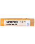 Sanguinaria canadensis 15CH, Boiron - 1t