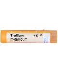 Thallium metallicum 15CH, Boiron - 1t