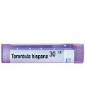 Tarentula hispana 30CH, Boiron - 1t
