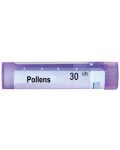 Pollens 30CH, Boiron - 1t